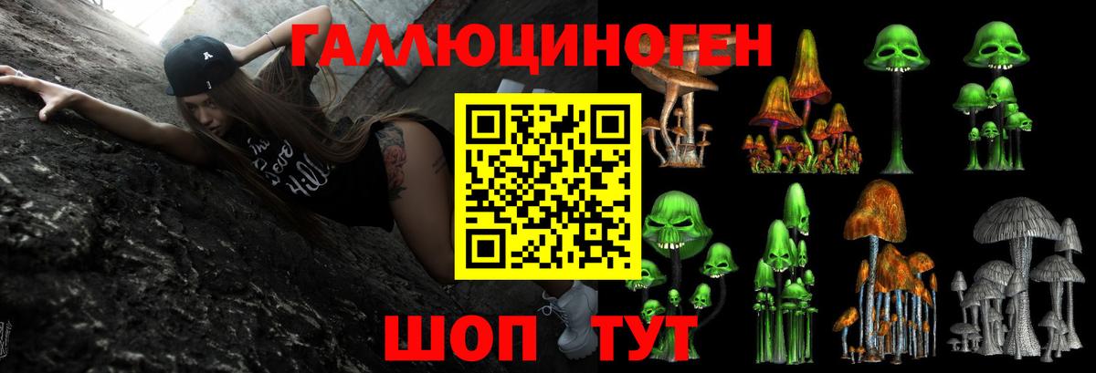 Псилоцибиновые грибы ЛСД  Вход с VPN  Волгодонск  Псилоцибиновые грибы Cubensis 